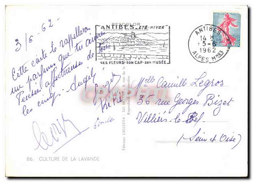 CPA Culture de la Lavande Folklore — Verso