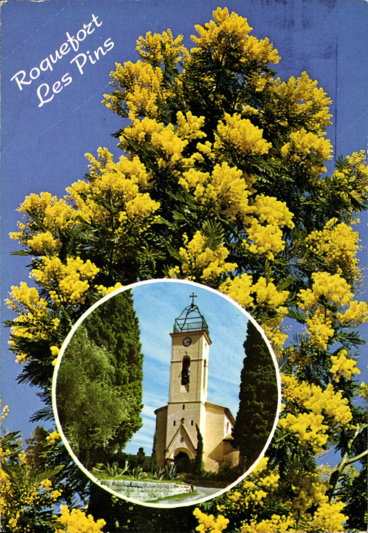 CPA Cote d'Azur Souvenir de Roquefort les Pins 