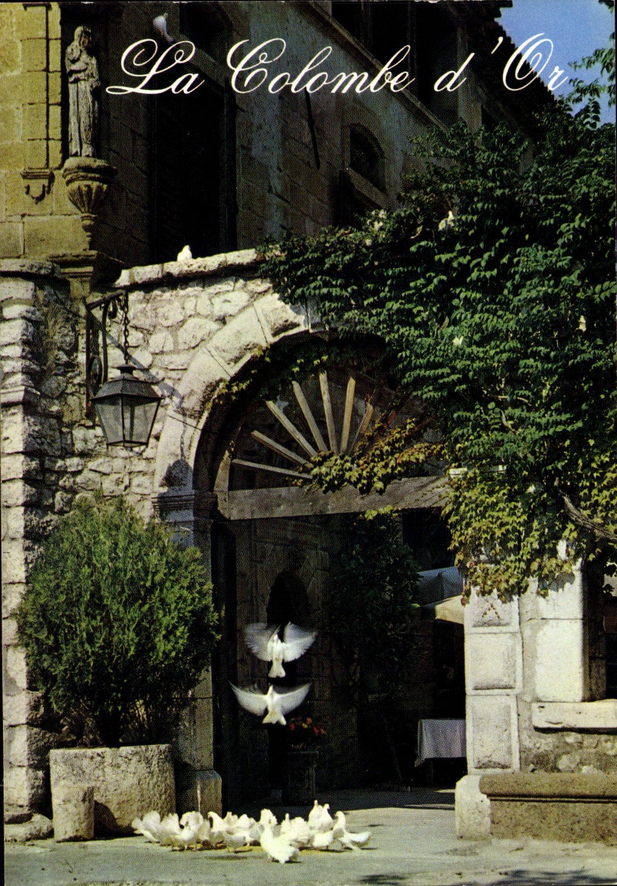 CPA Cote d'Azur Saint Paul Alpes Maritimes Entree de la Colombe d'Or 