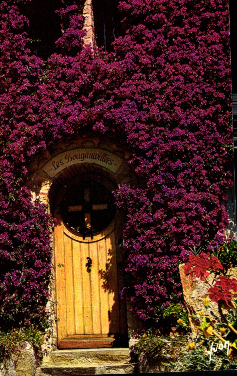 Les Bougainvillées — porte en bois sous lierre — Éditions d'Avignon-Juifs