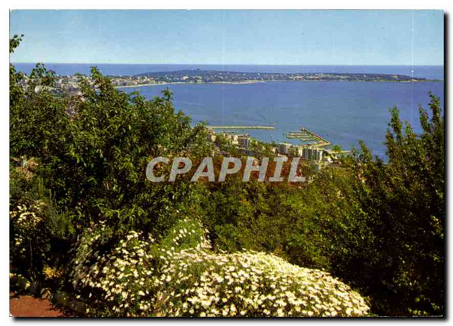 CPA Golfe Juan Vue generale et une partie du nouveau Pont de Plaisance 
