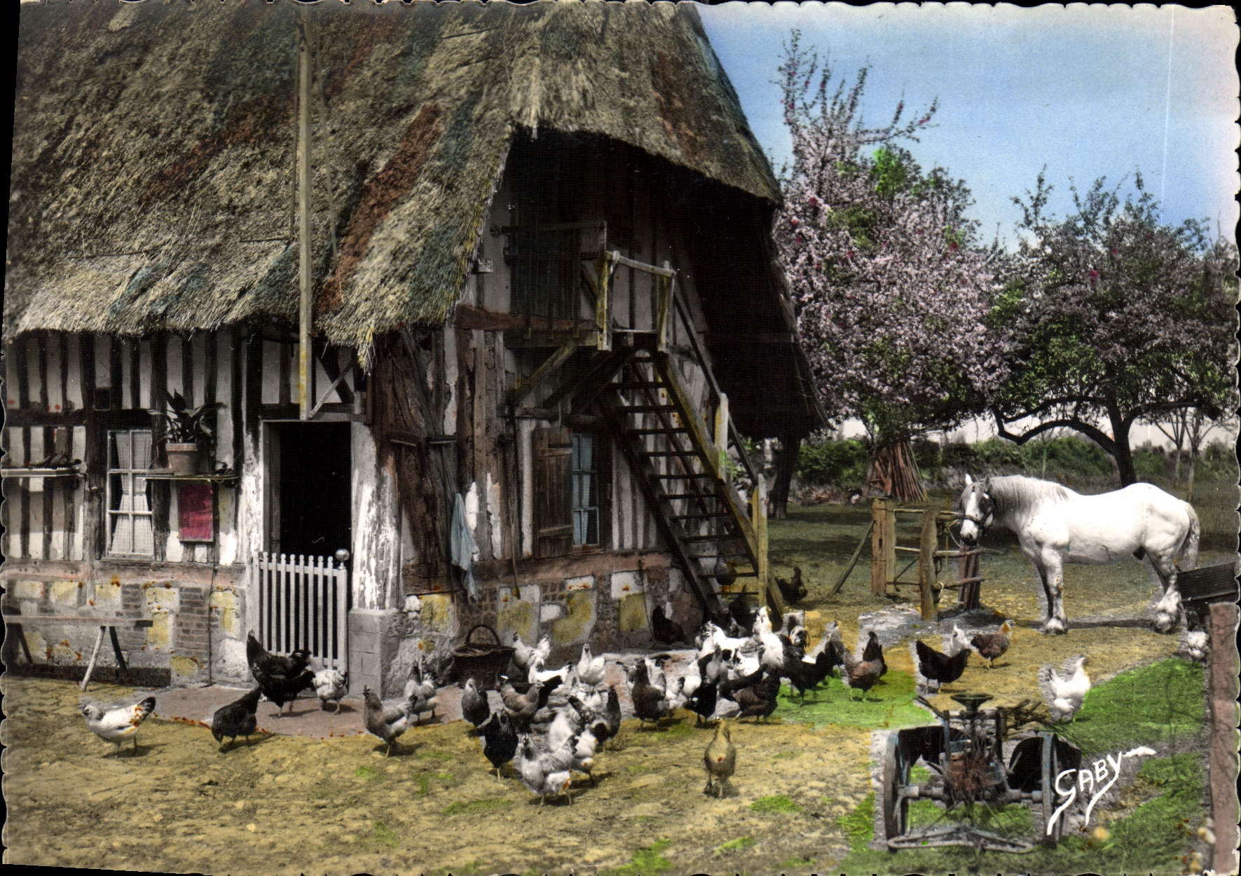 CPM La Normandie Cheval Poules Charrue