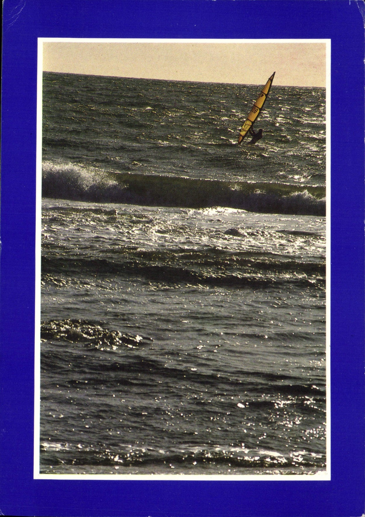 CPM Planche a voile