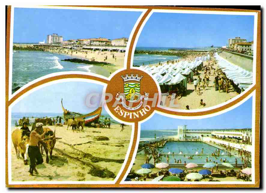 CPM Espinho Portugal Motivos Turisticos Diversos Divers Motifs Touristiques Bœufs Piscine