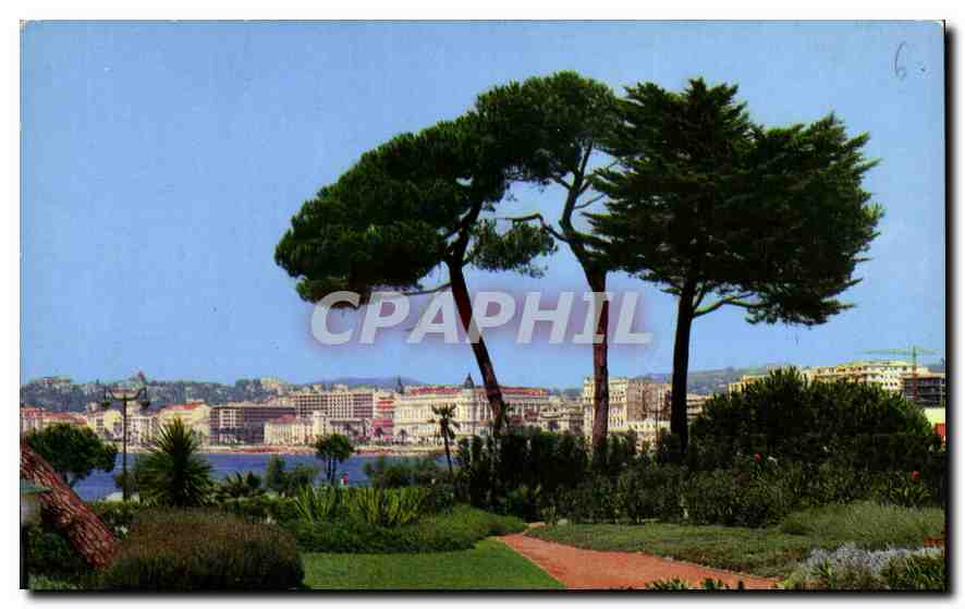 CPM Cannes Vue generale prise depuis les Jardins du Palm Beach 