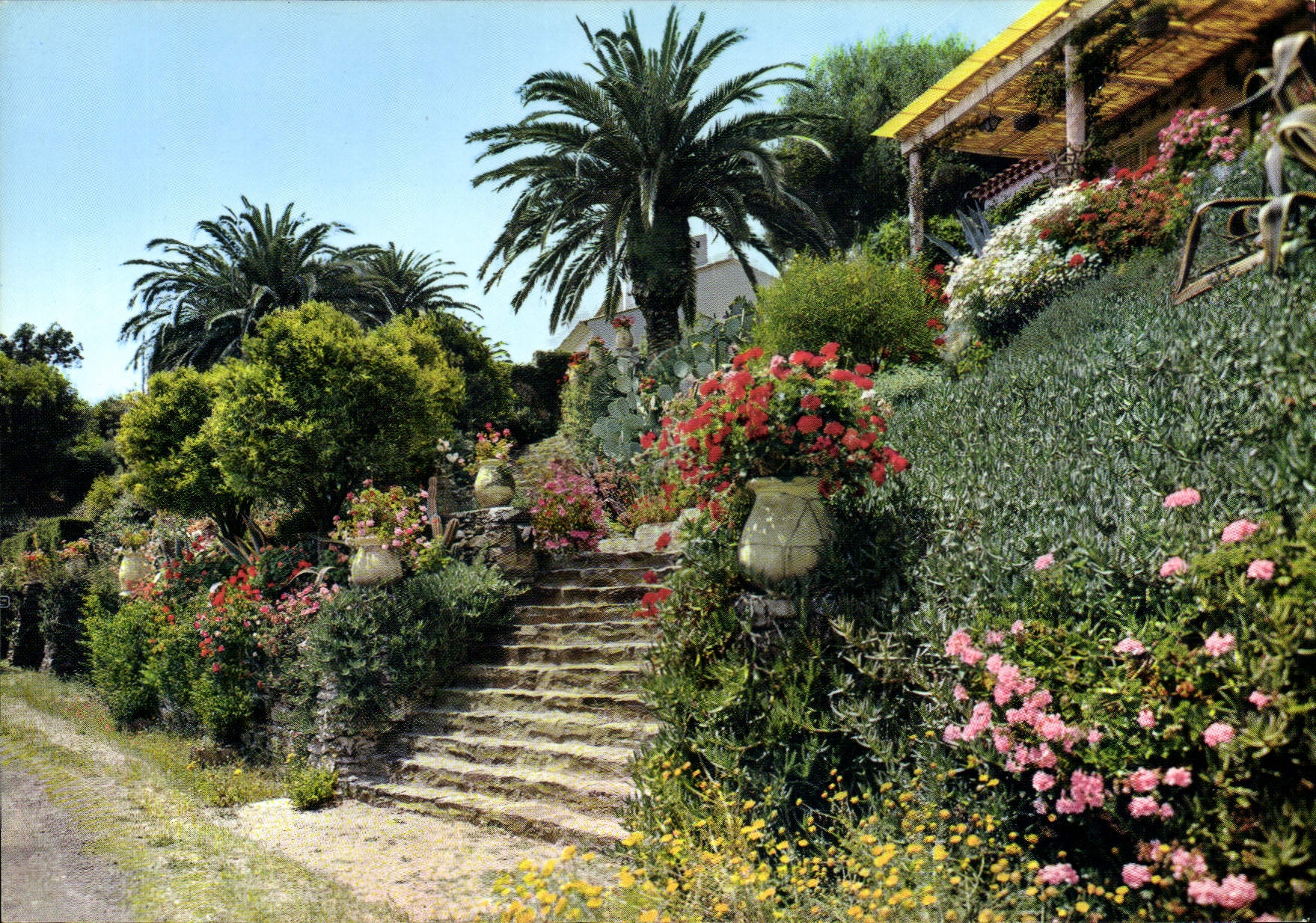 CPM La Cote d'Azur 