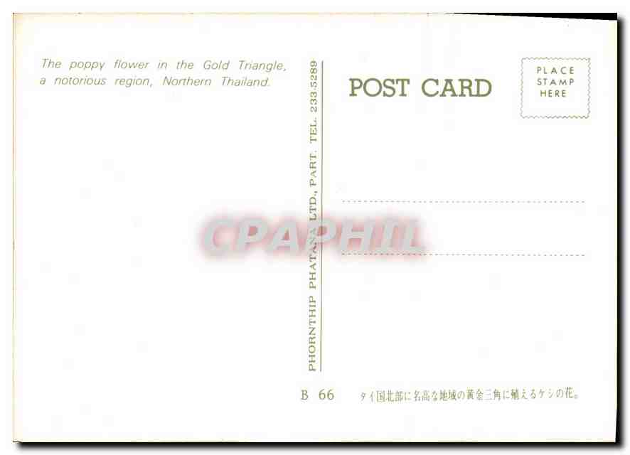CPM The poppy flower in the Gold Triangle a notorious region Northern Thailand  — Rückseite