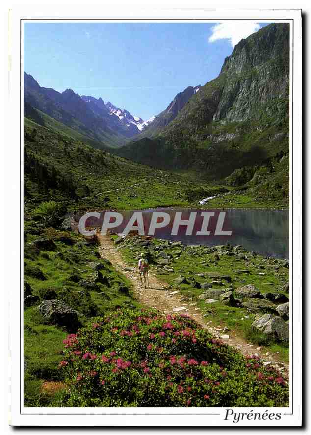 CPM A la Decouverte des Pyrenees 
