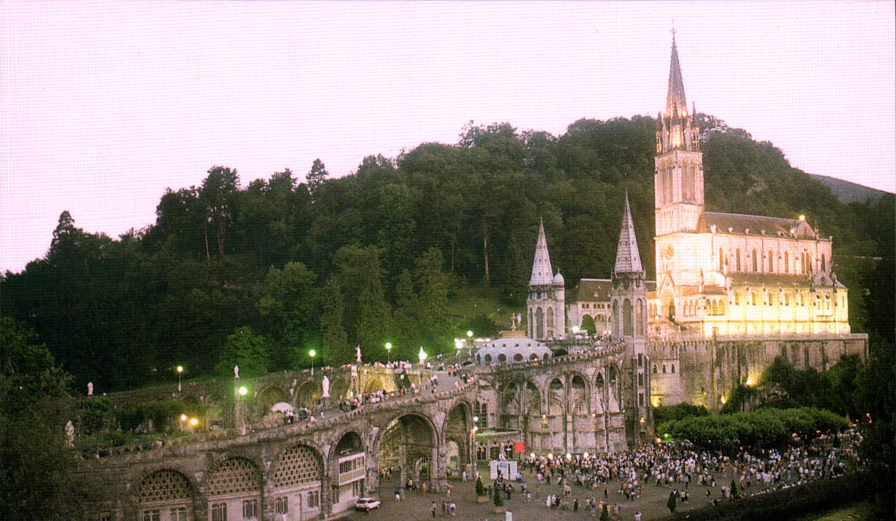 CPM Lourdes  La Basilique le Gave et le Nouveau pont 