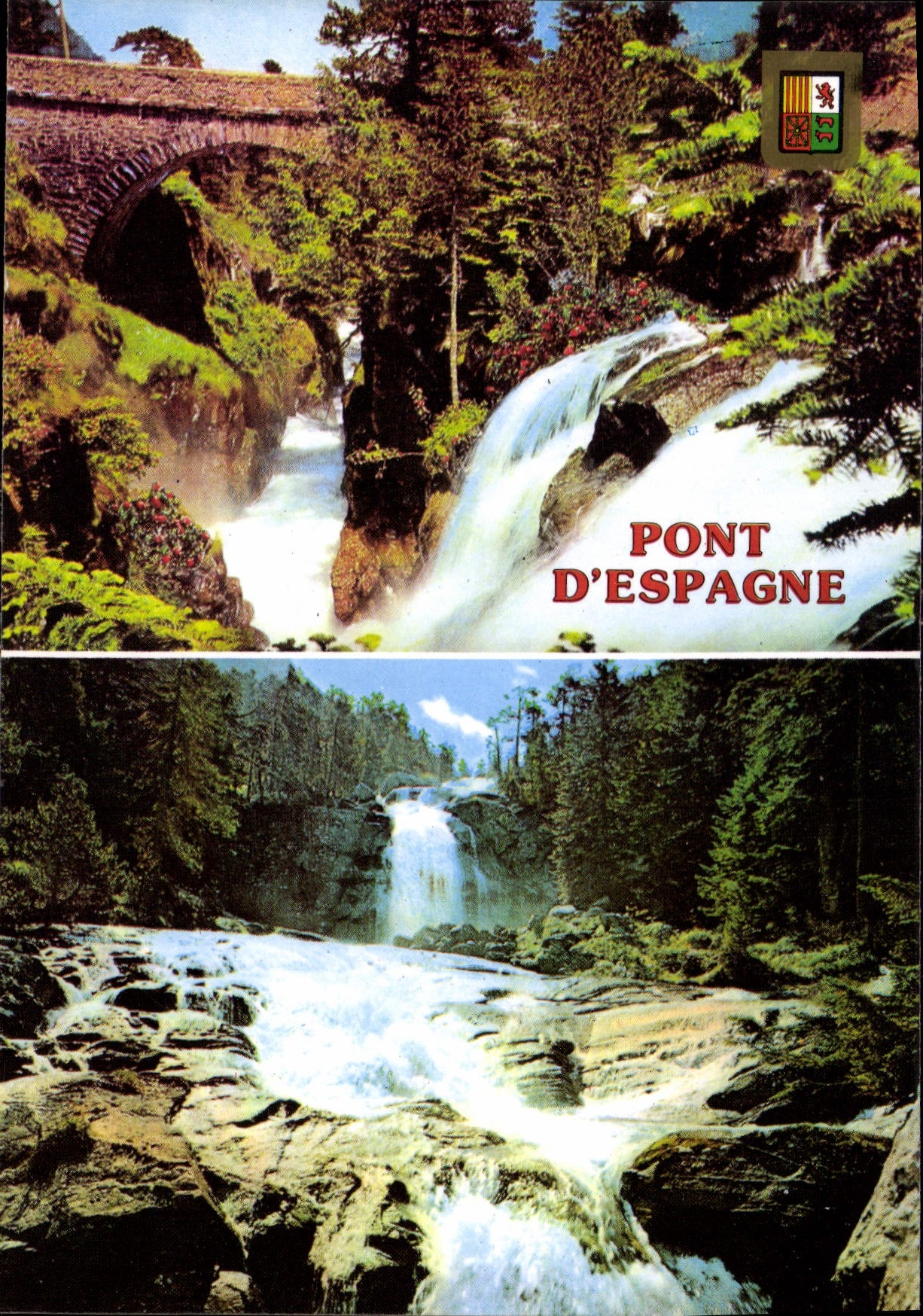 CPM Lumiere et Couleurs des Pyrenees Environs de Cauterets 
