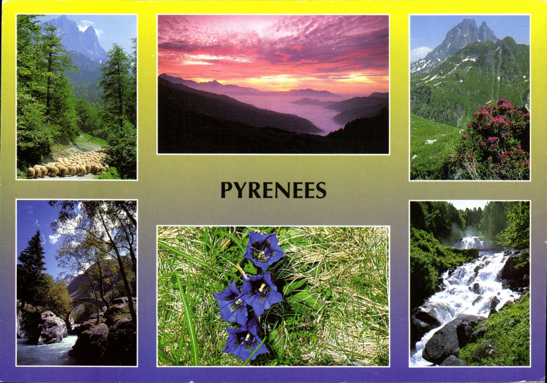 Les Pyrénées — paysages et fleurs — COMPA CARTERIE - Recto
