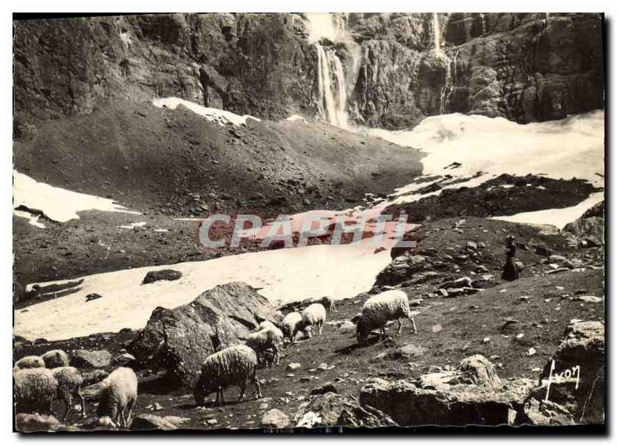 CPM Cirque de Gavarnie Hautes Pyrenees Bas de la Cascade et le Pont de neige Moutons