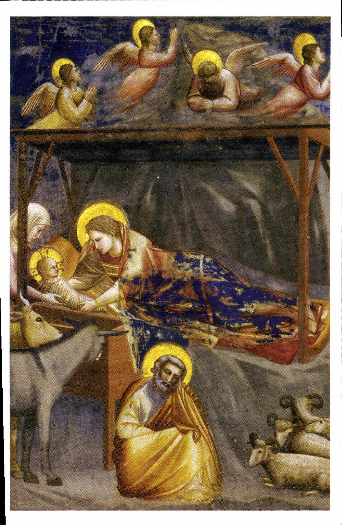 CPM Pelerin La Naissance du Christ Fresque de Giotto 