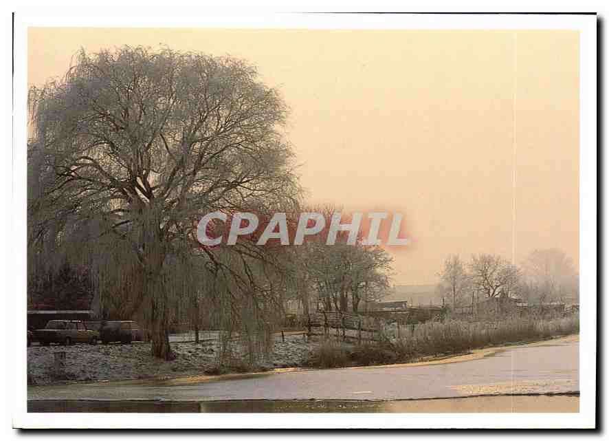 CPM Arbre