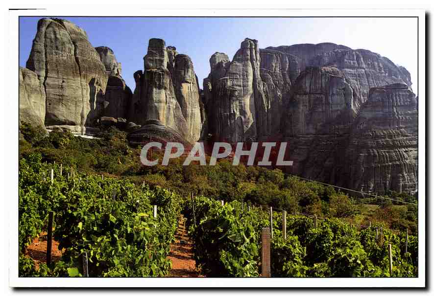 CPM Un des plus veux vignobles du monde du pied des monts Meteore en Thessalie Grece 