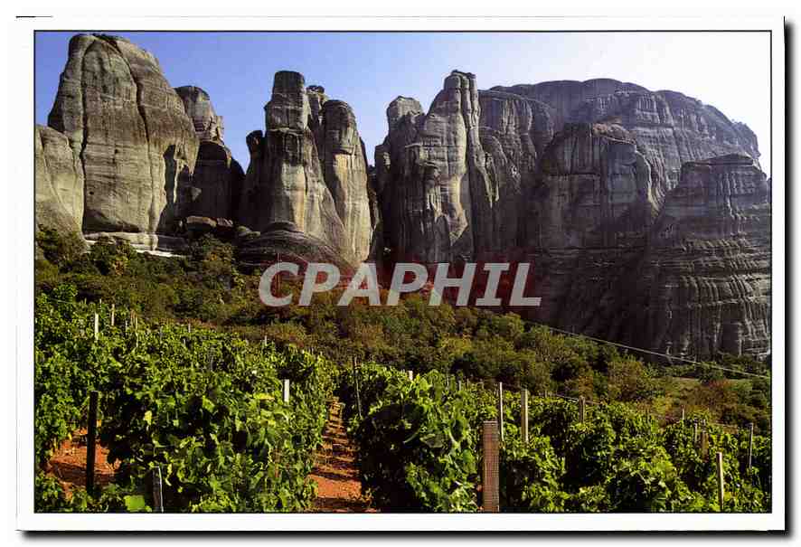 CPM Un des plus veux vignobles du monde du pied des monts Meteore en Thessalie Grece 