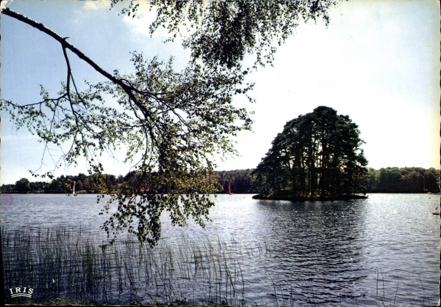 CPM La Correze Touristique Environs de Tulle Saint Priest de Gimel Le Lac 