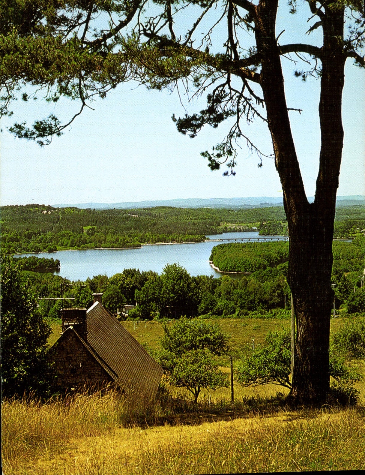 CPM La Correze Touriste Liginiac le Puy de Manzagol Splendide Panorama sur le Lac de la Triouzoune 
