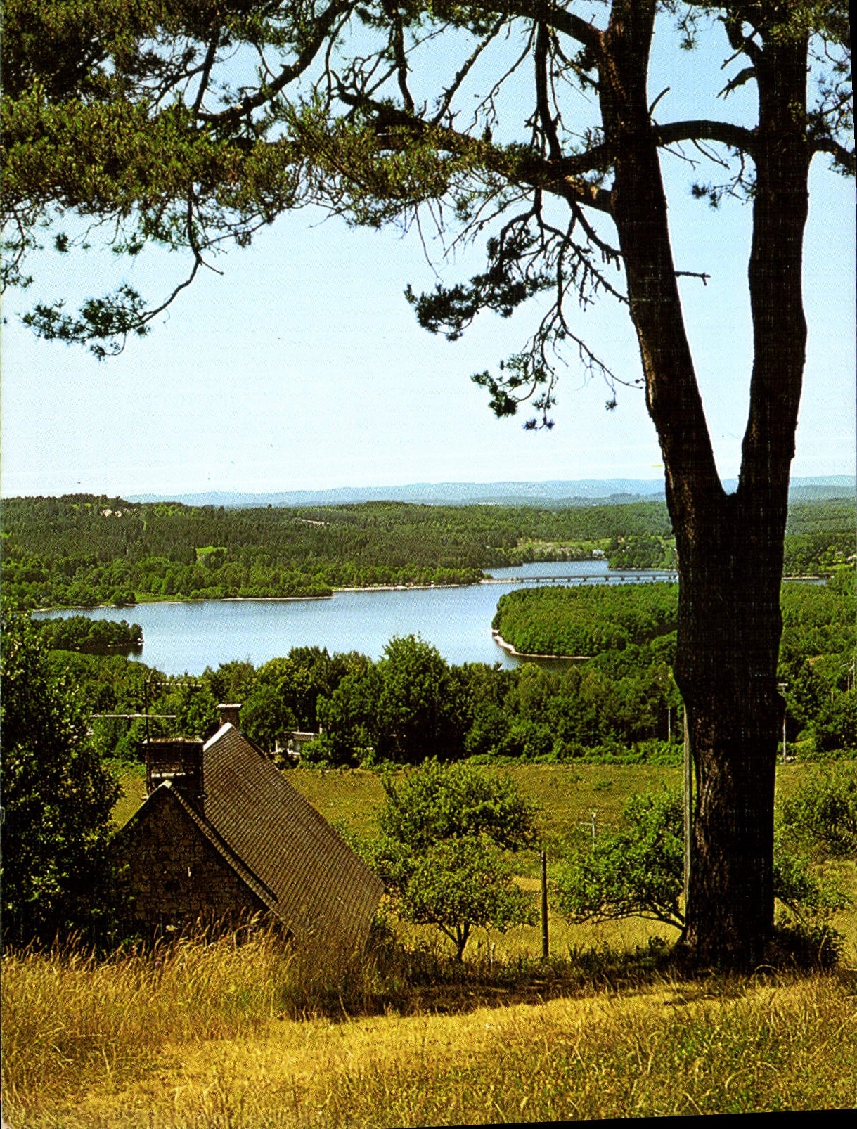 CPM La Correze Touriste Liginiac Le Puy Manzagol Splendi Panorama sur le Lac de la Triouzoune 