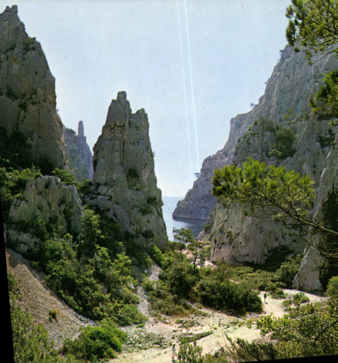 CPM Nos Belles Calanques En Cau et san aiguille 