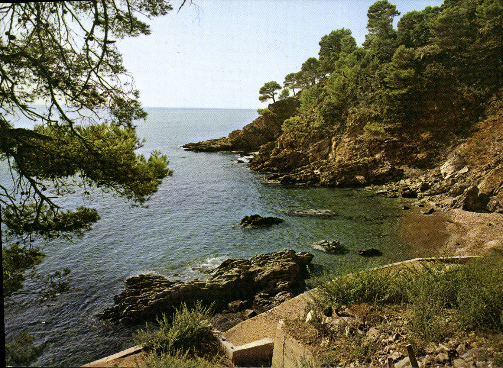 CPM Mediterranee aux Rivages sans nuage Calanque aux reflets d'Or 