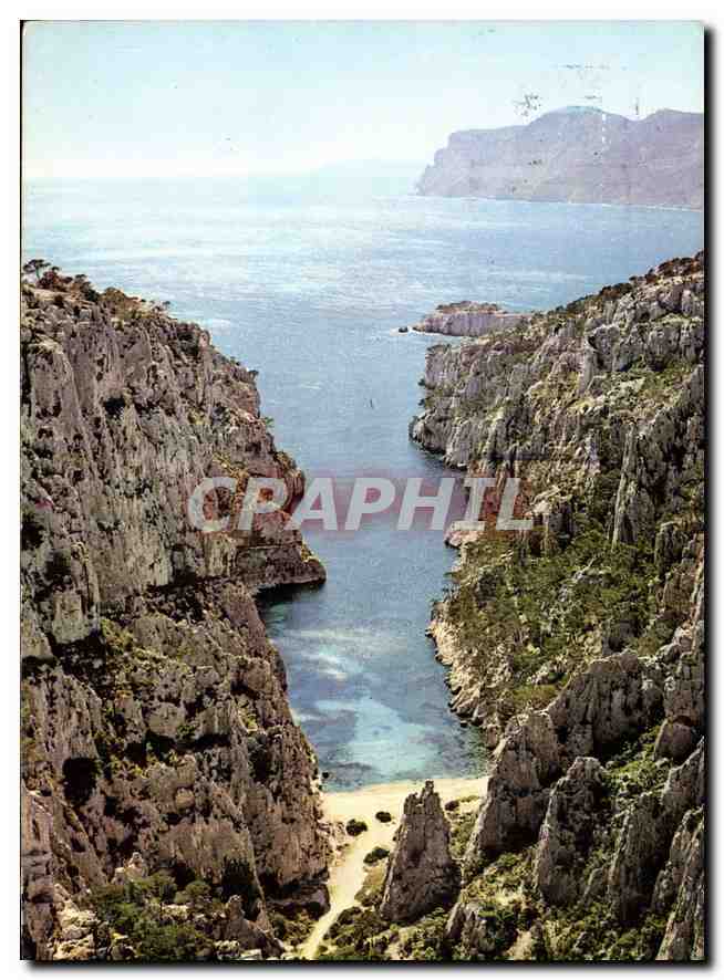 CPM Une Rose a la Boutanniere de la Provence Cassis sur Mer Calanque d'En Vau 