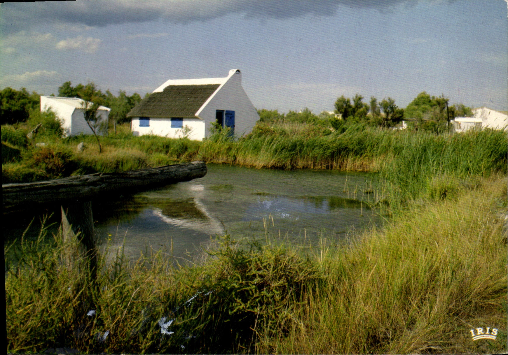 Camargue avec les Gardians — une cabanne blanche au toit de roseaux — IRIS Mexichrome
