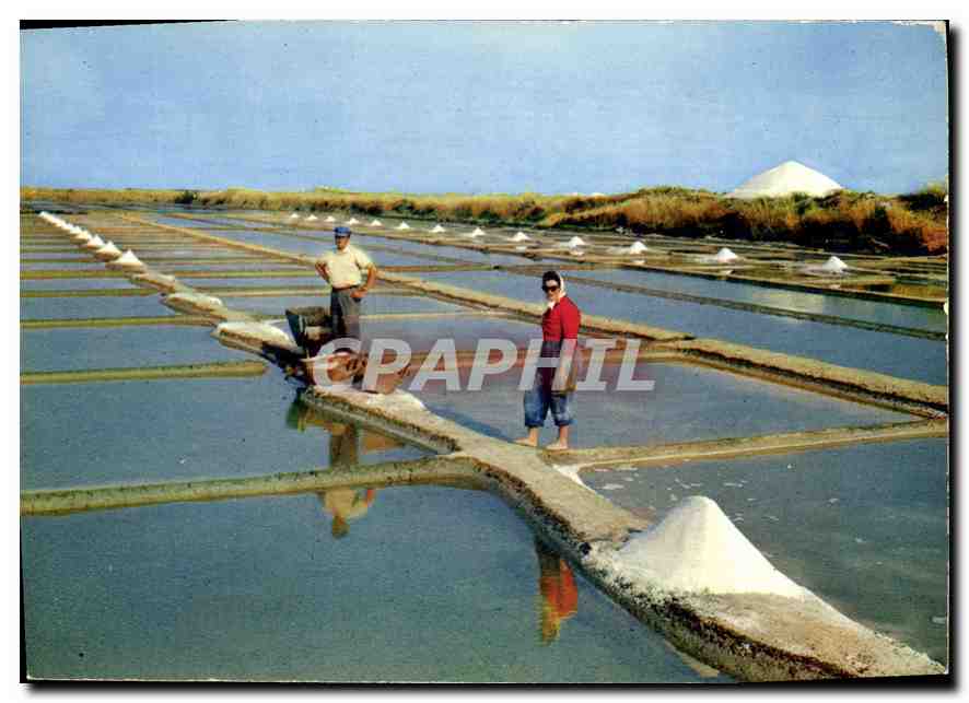 CPM Ile De Re Sauniers dans les marais Salants 