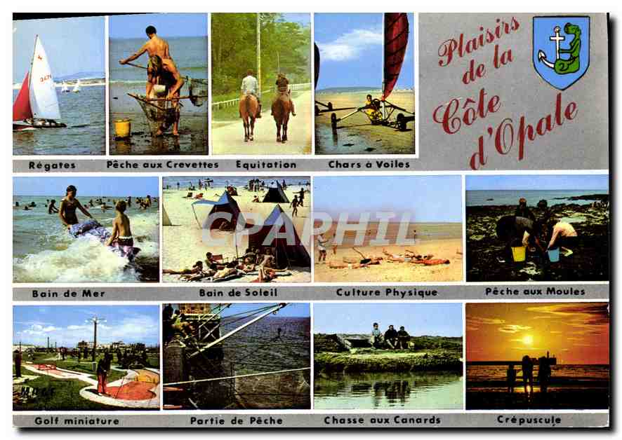 CPM Plaisirs de la Cote d'Opale Chars a voiles Golf Chasse aux canards Peche aux moules