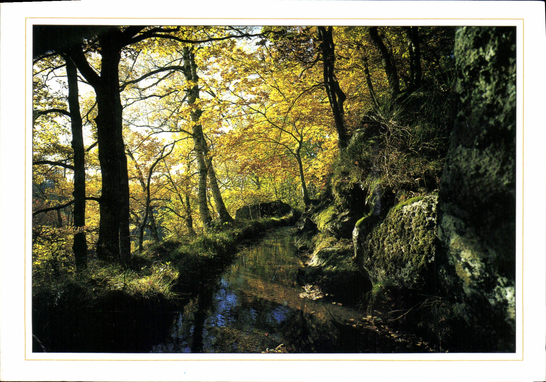 CPM Images de France Paysage Pittoresque 