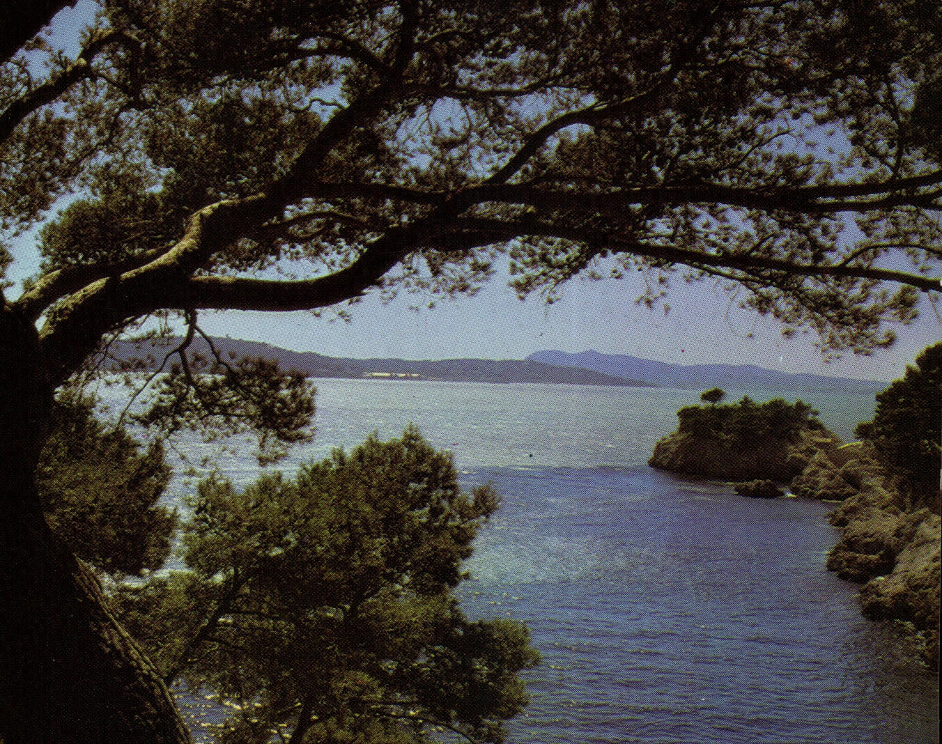 CPM Mediterranee au rivage sans nuage Calanque ou la vague s'abrite 