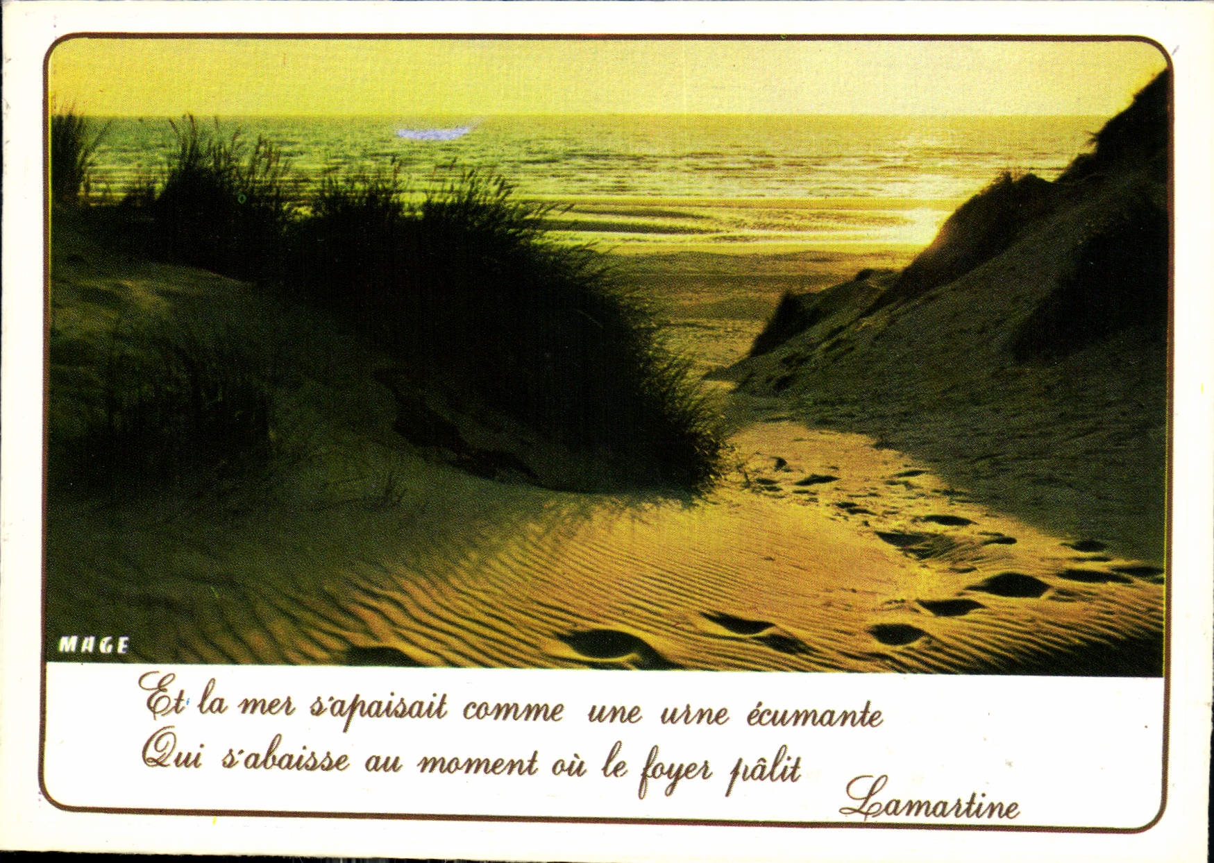 CPM Littoral de la Manche et de la Mer du Nord Contre jour dans les dunes 