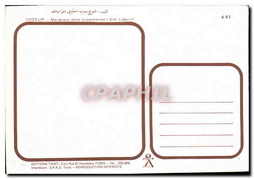 CPM Tozeur Marabout dans la paimeraie Sidi Laguill  — Rückseite