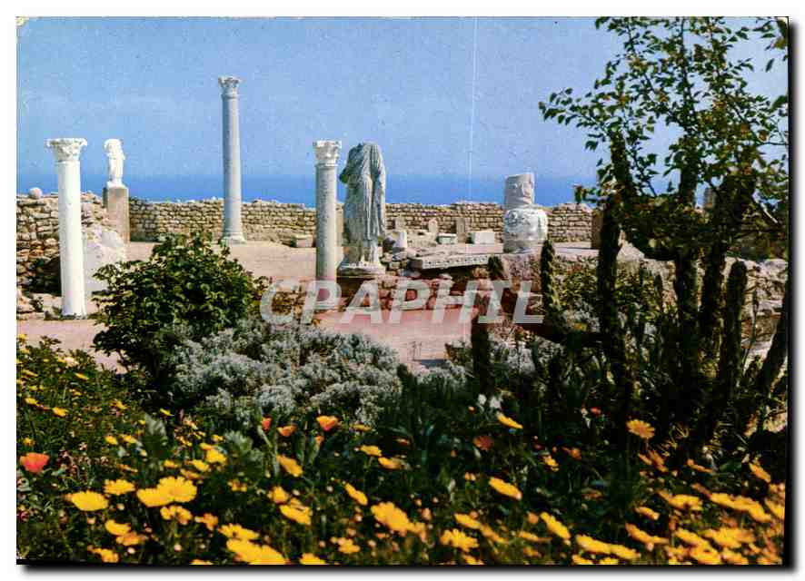CPM Carthage Tunisie l'Antiquarium 