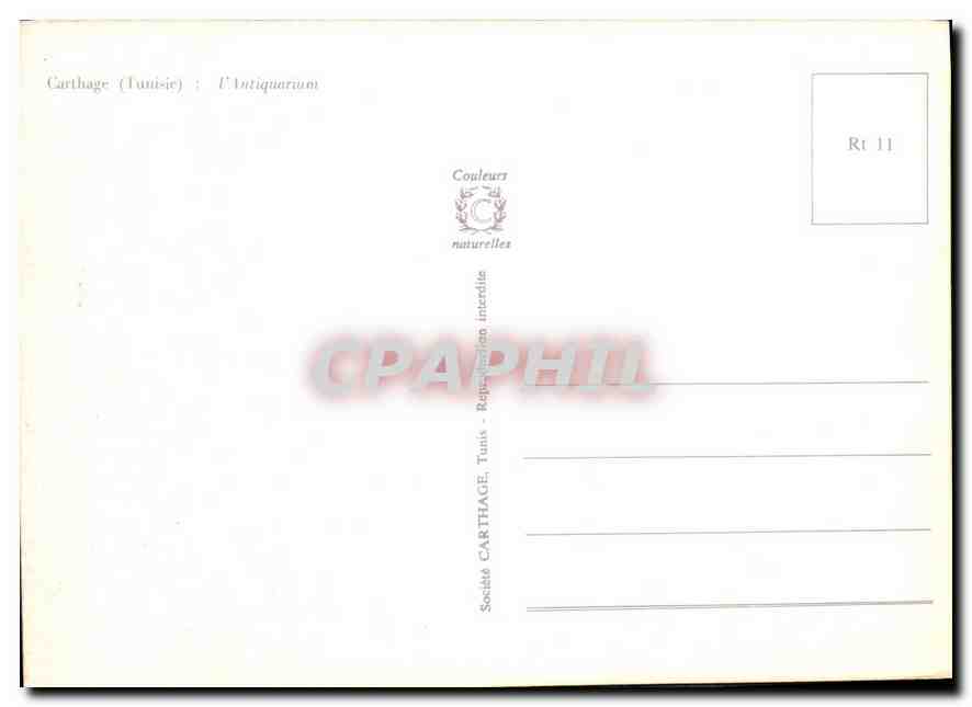 CPM Carthage Tunisie l'Antiquarium  — Verso
