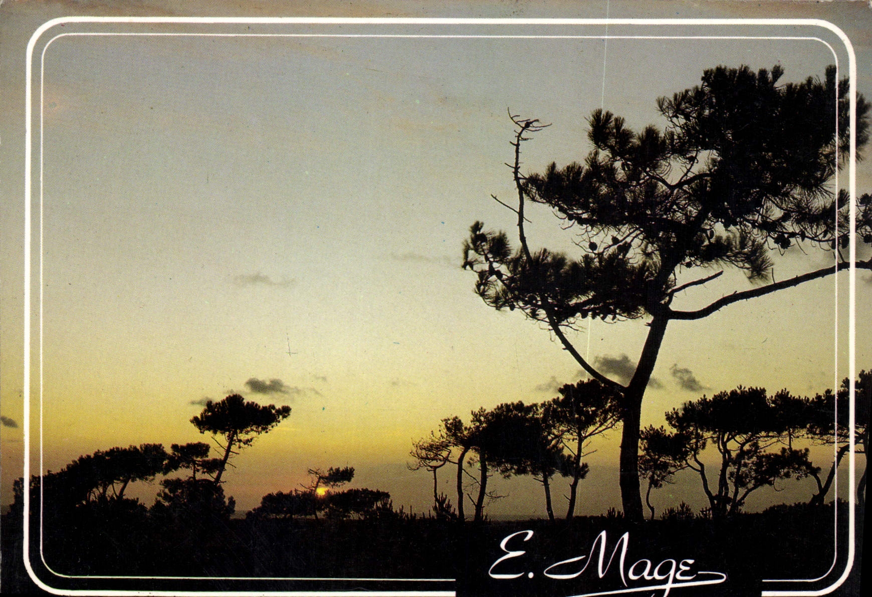 Paysage de pins au coucher du soleil — E. Mage — Édition MAGE, 36 rue H. Fournier, 93700 Drancy