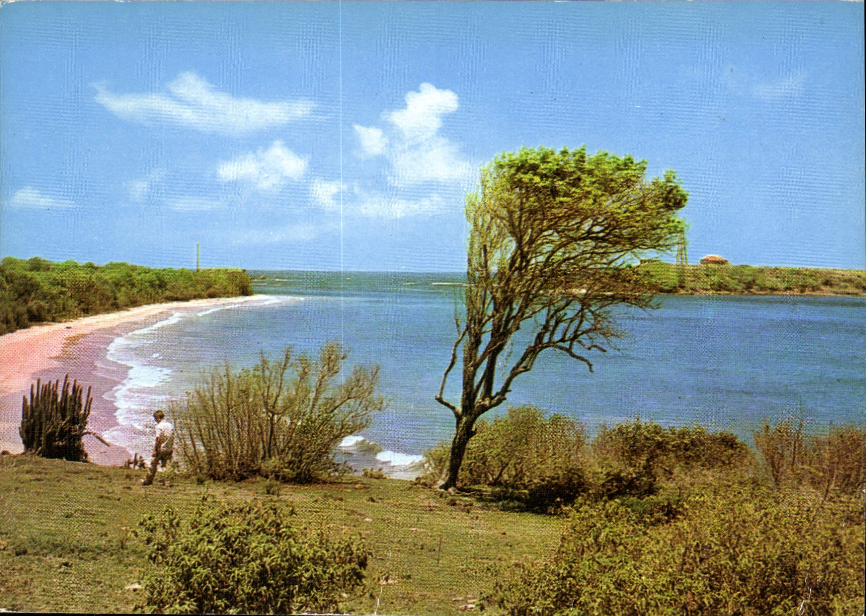 Martinique — Le Sud de l'île — Plage des Salines et îlet Cabrits — Éditions Félix Rose, n°43