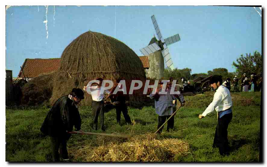Battage au fléau devant la barge de foin — Fléaux (Vendée) — Éditions du Gabier, série SX/10