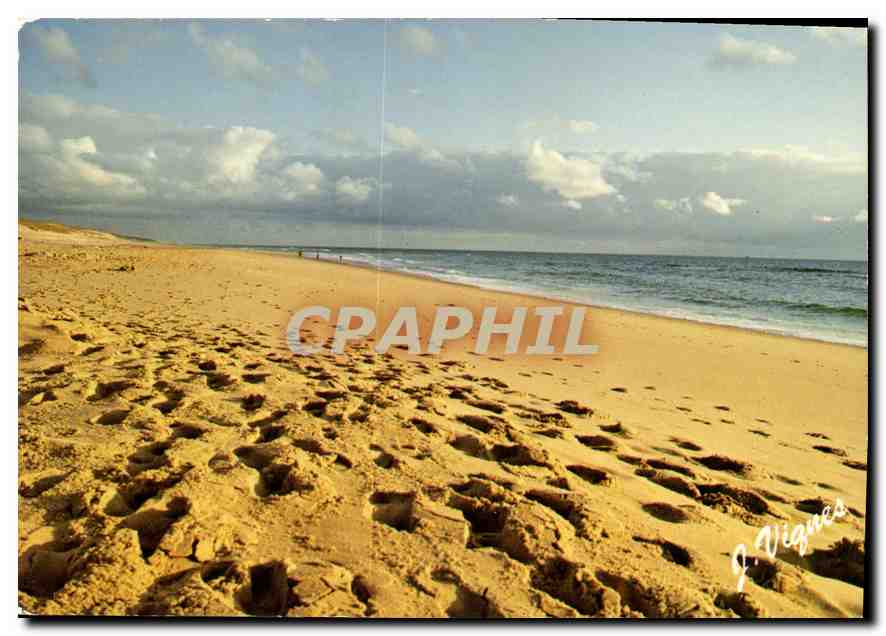 Plage au soleil couchant — Visage des Landes — Editions d'Art Vignes
