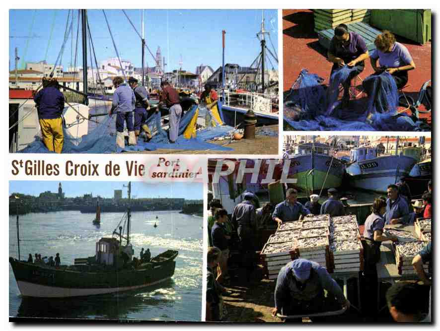 CPM St Gilles Croix de Vie Port Sardinier Bateaux Peche