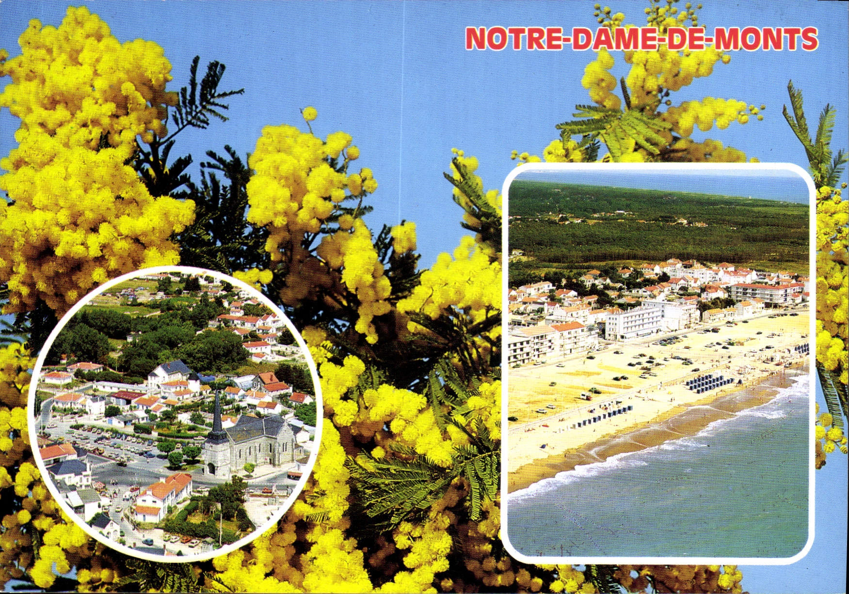 Notre-Dame-de-Monts — vue aérienne et plage — éditeur Art Aud Carouefou, n° R 151 - Anverso