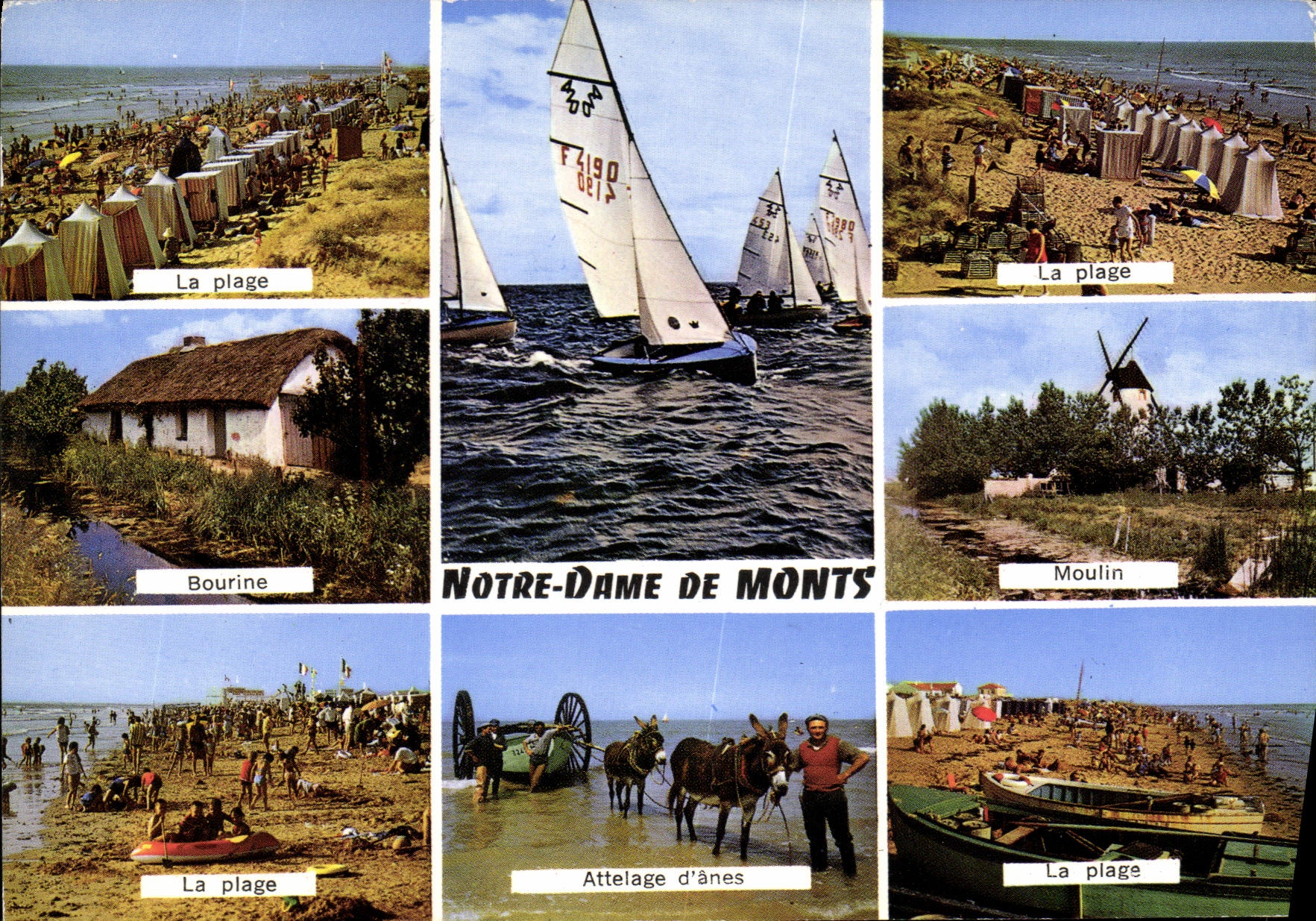 Notre-Dame de Monts — Vue panoramique — Artaud & Cie Éditeurs