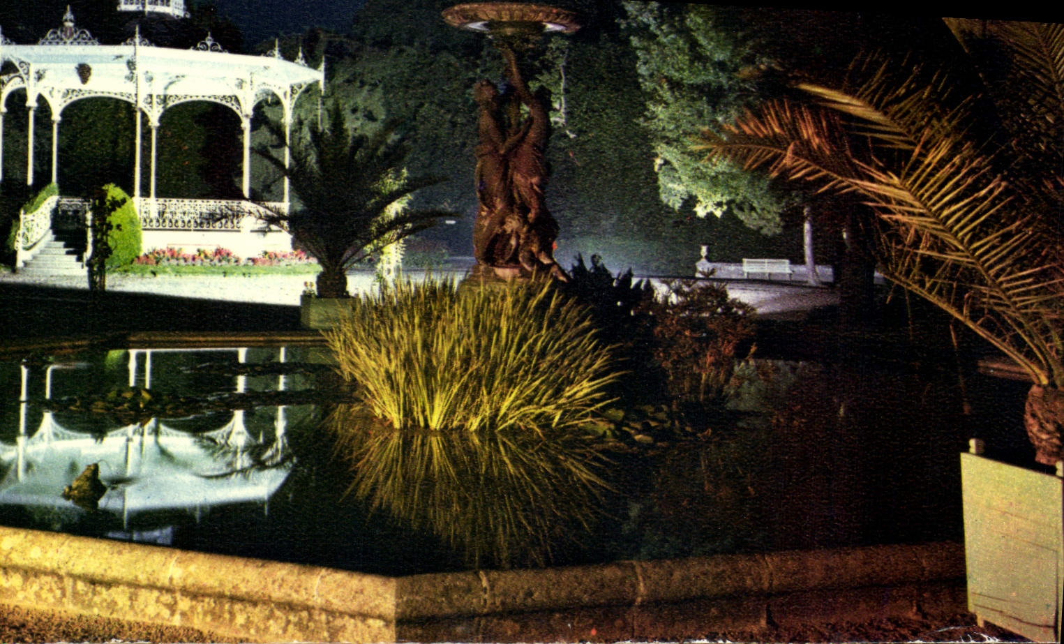 Jardin Dumaine — Le Bassin illuminé — Couleurs Naturelles, n°57