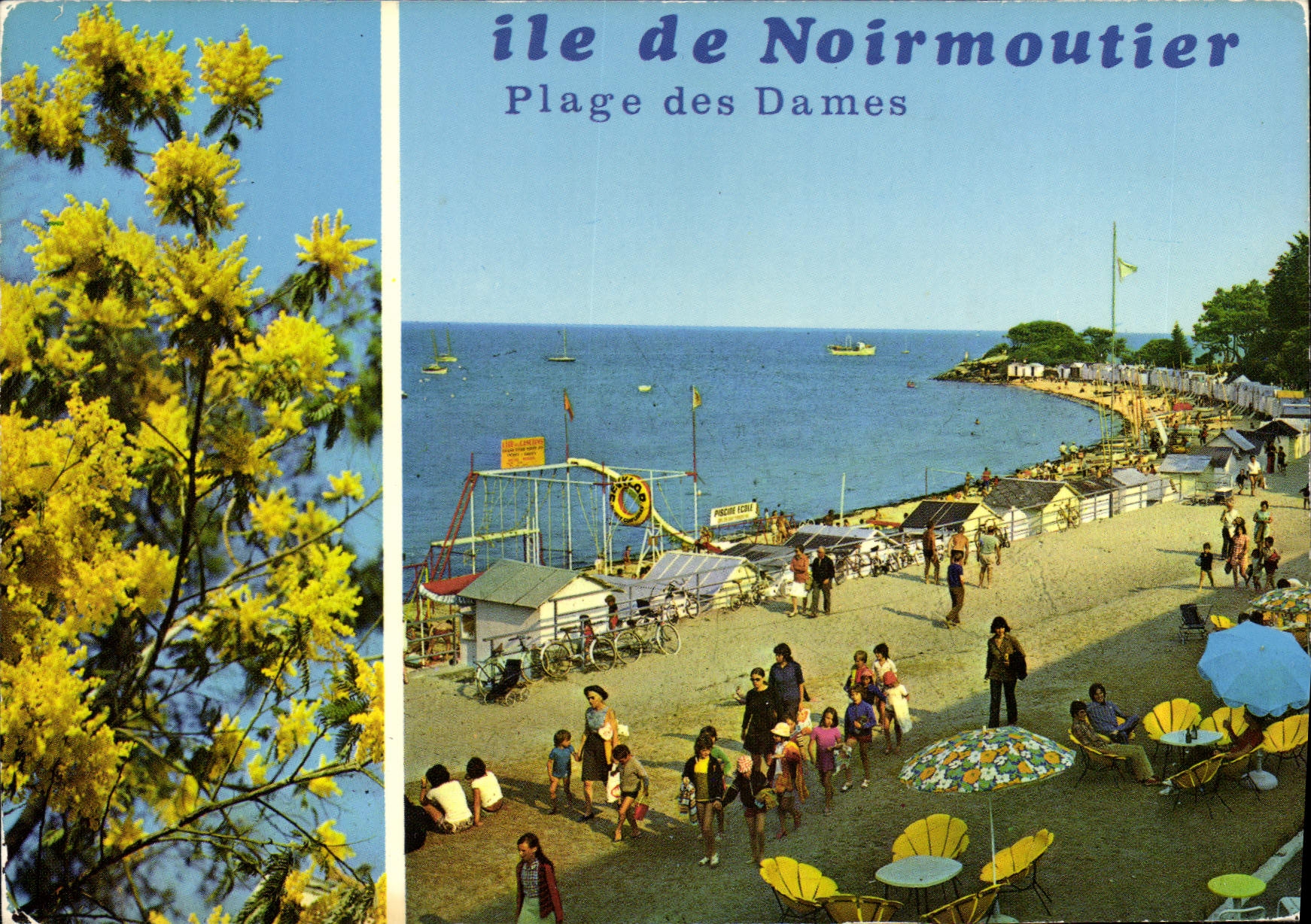 CPM La Vendee Touristique Ile de Noirmoutier 