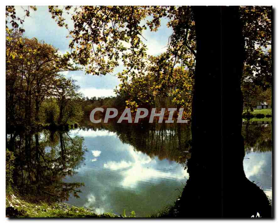 CPM Visage des Landes Quand vient l'Automne sur nos etangs 
