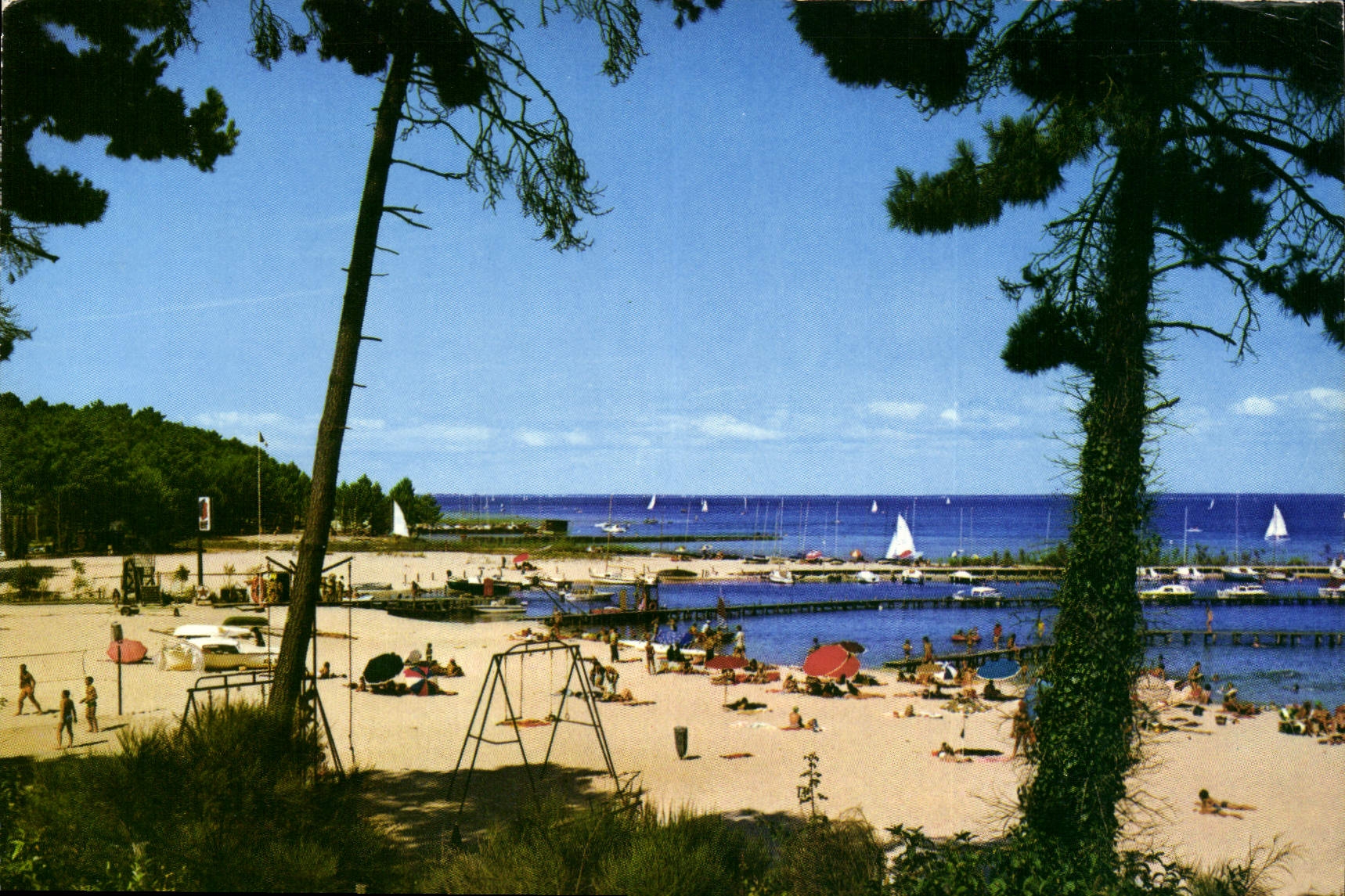 CPM Cote Aquitaine Biscarrosse Port Maguide 