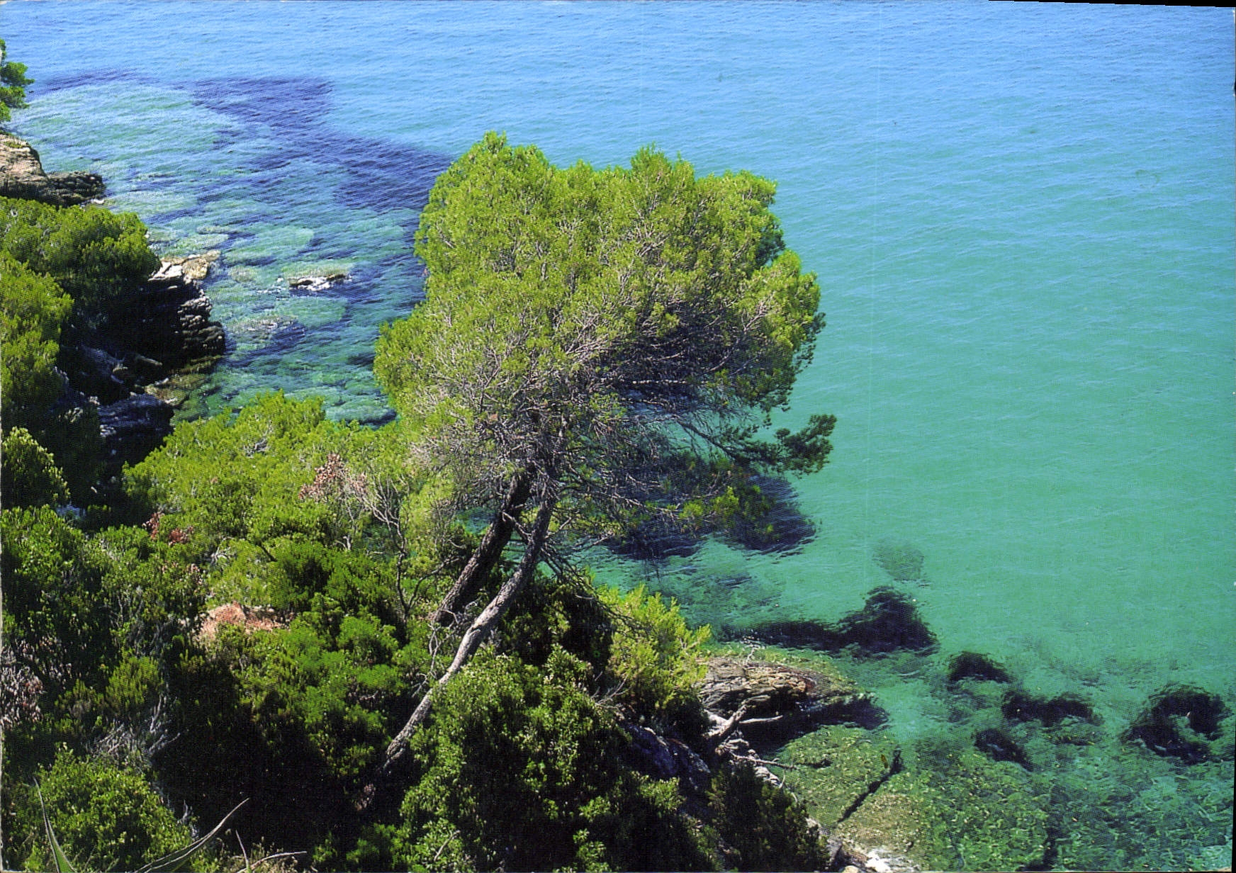 Vue de la Côte d'Azur — Septèmes-les-Vallons — Sté PEC