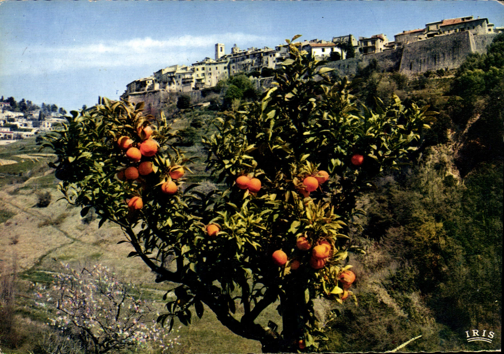CPM Reflets de la Cote d'Azur St Paul de Vence AM Vue d'ensemble 