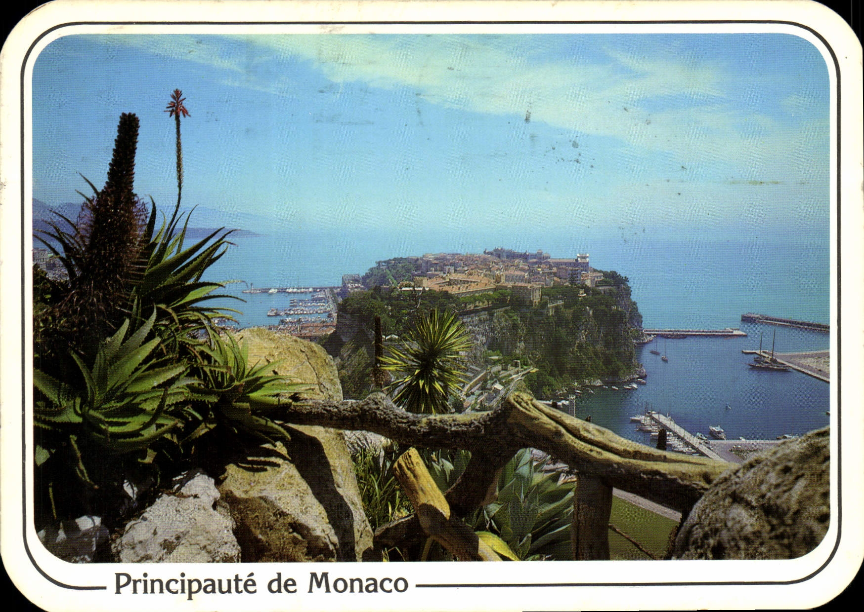 CPM Principaute de Monaco Du jardin Exotique 