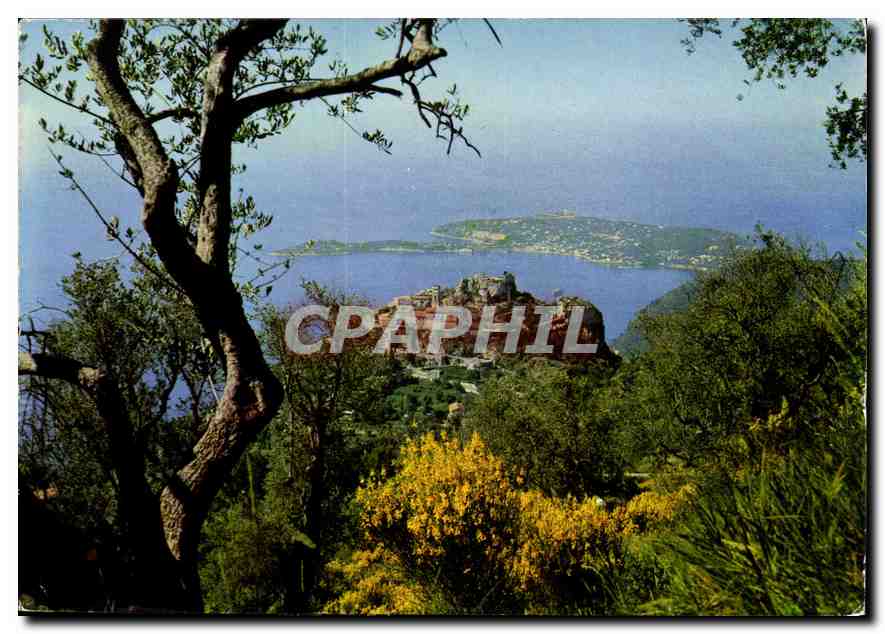 CPM Les Sites Merveilleux de la Cote d'Azur AM 